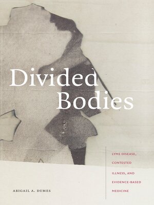 cover image of Divided Bodies